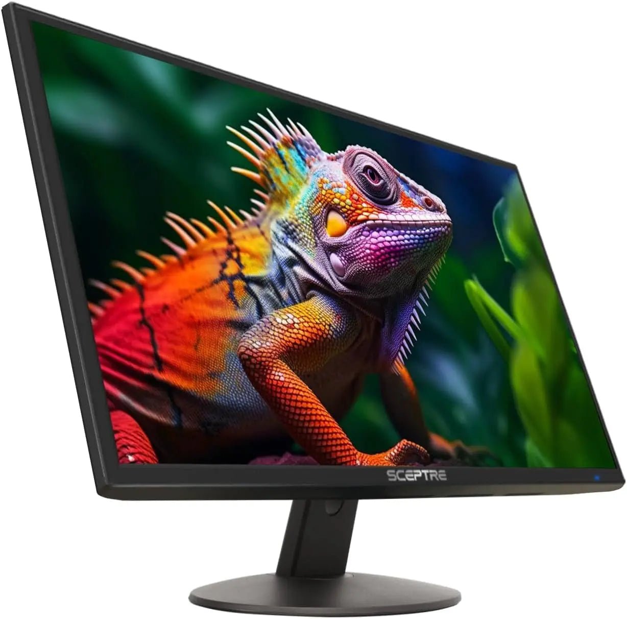 24 - Inch Professional LED Monitor - Divine Bridal